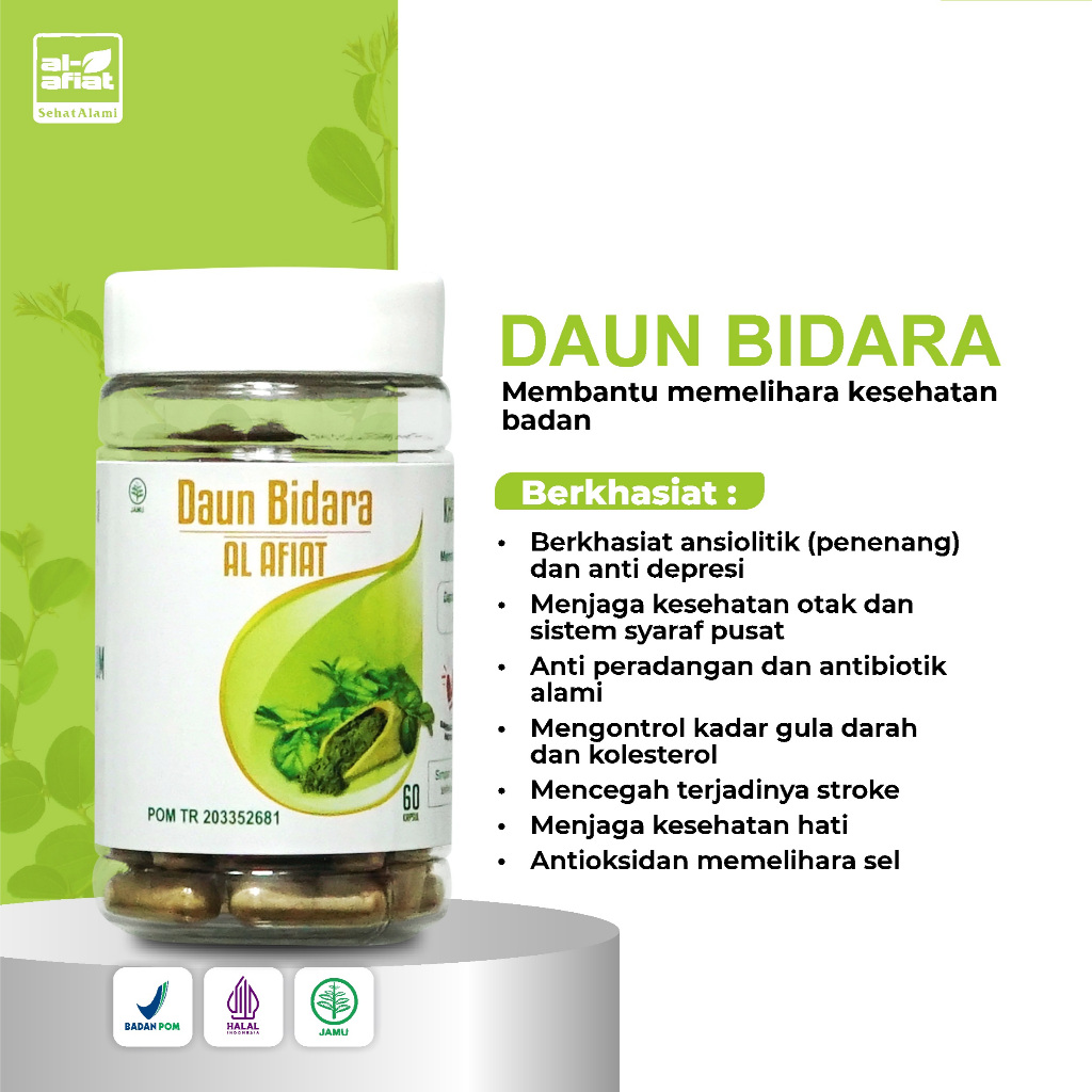 DAUN BIDARA AL AFIAT 60 KPSL