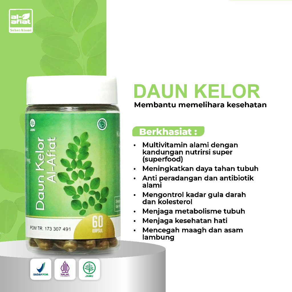 DAUN KELOR ALAFIAT 60 KPSL